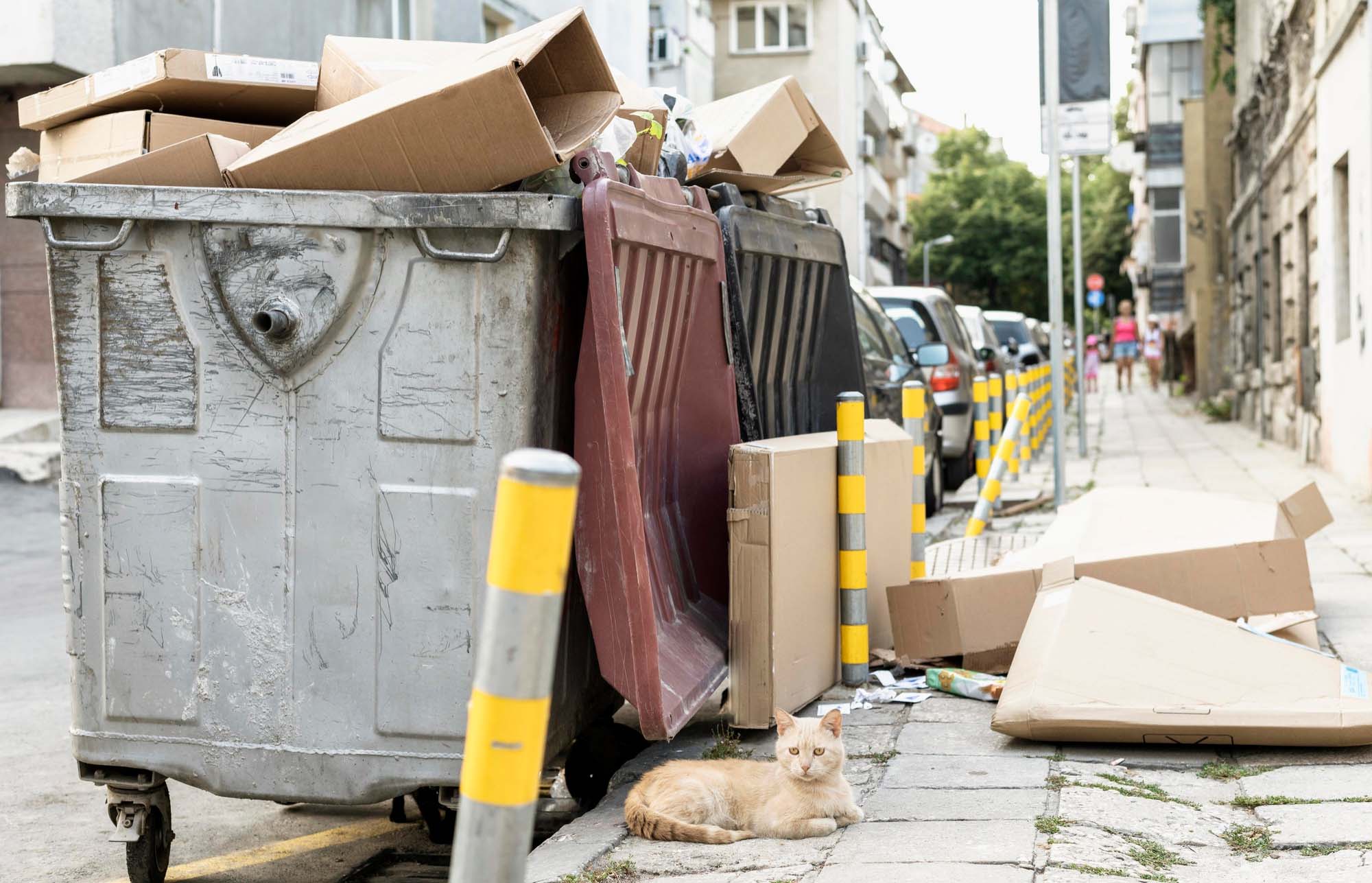 Bulky waste collection